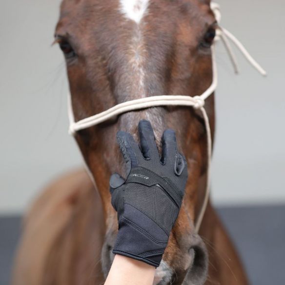 Evolution - Gants équitation entraînement confort | RACER 1927