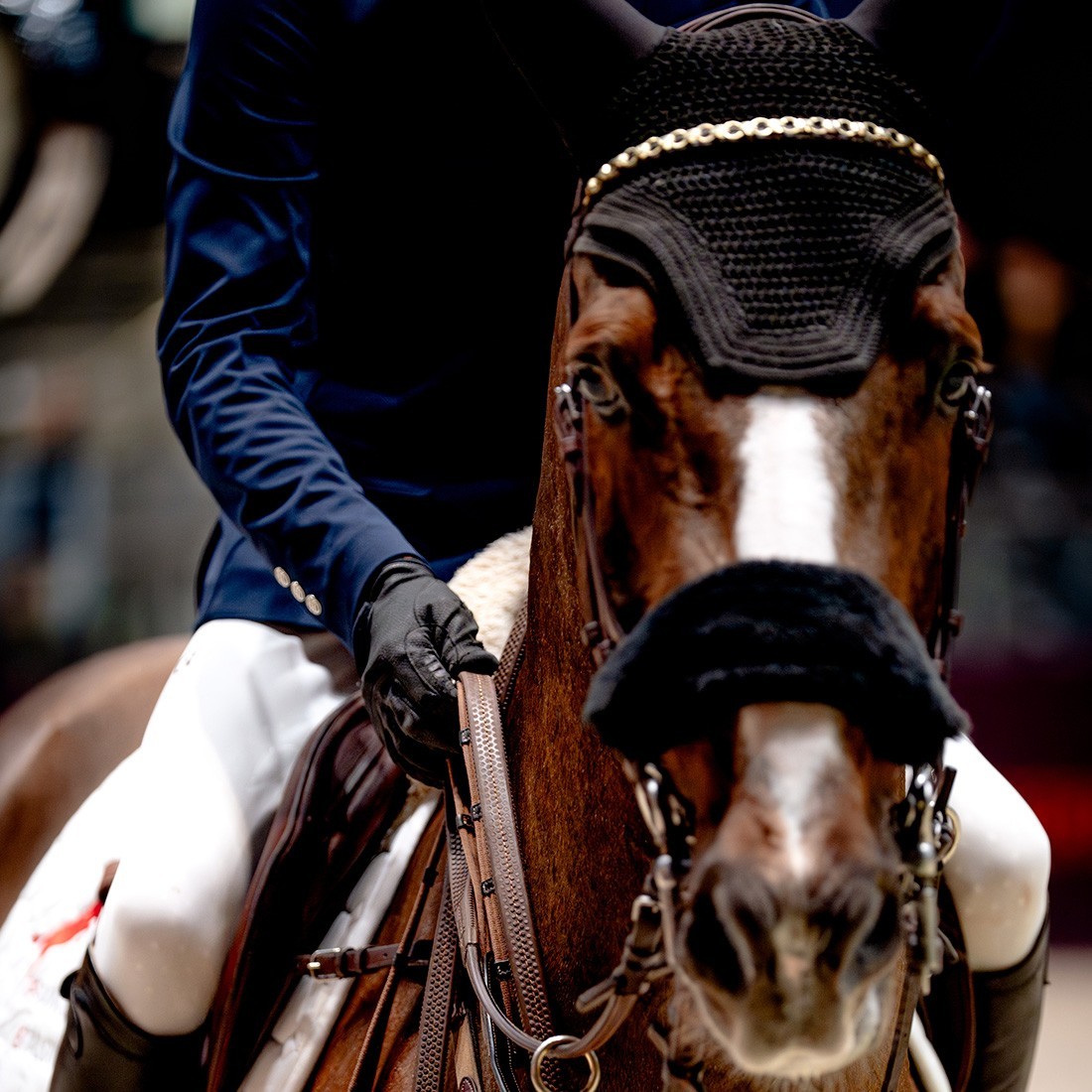 RACER1927® - CONCENTRATION - Guantes de equitación